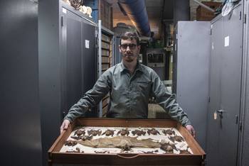 Foto principal del artículo 'Aparición de murciélagos con rabia: qué hacer, qué no hacer y por qué su detección no es una mala noticia para Uruguay' · Foto: Alessandro Maradei