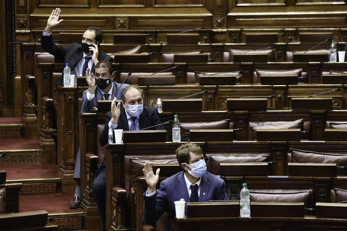 Votación de Senadores en la Cámara de Diputados, el 18 de marzo. · Foto: Federico Gutiérrez