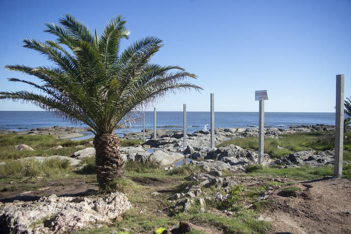 Playa cercada en la zona de Punta Colorada (archivo, abril de 2021). · Foto: Alessandro Maradei
