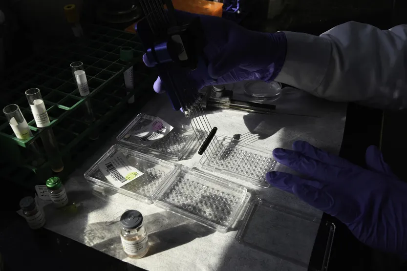 20260616 fut biotecnología