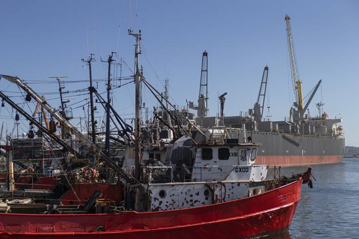 Barcos pesqueros en el puerto de Montevideo (archivo, abril de 2021). · Foto: Ernesto Ryan