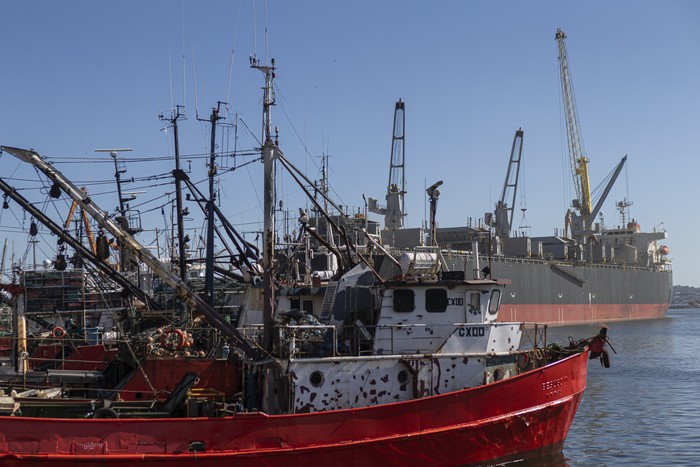 Zona de barcos pesqueros en el puerto de Montevideo (archivo). · Foto: Ernesto Ryan