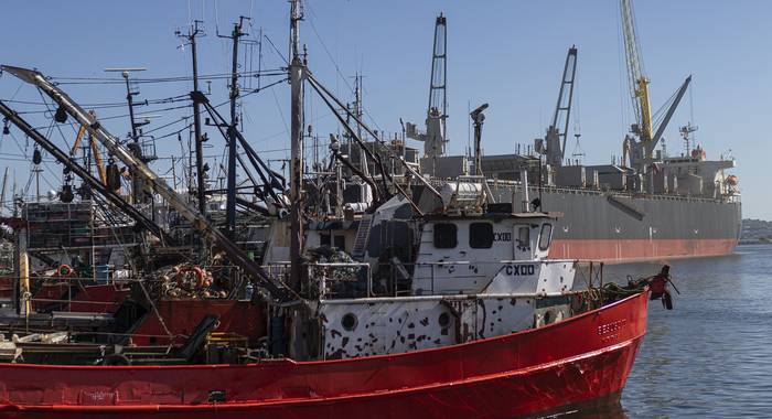 Pesqueros en el puerto de Montevideo. · Foto: .