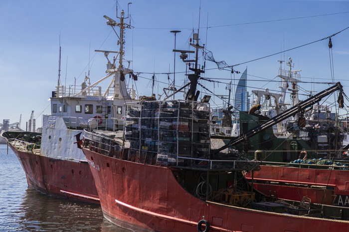Barcos pesqueros en el puerto de Montevideo (archivo, abril de 2021). · Foto: Ernesto Ryan