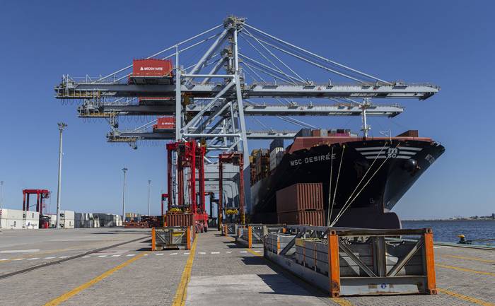 Puerto de contenedores de Kaoten Natie, en la terminal Cuenca del Plata.

 · Foto: .