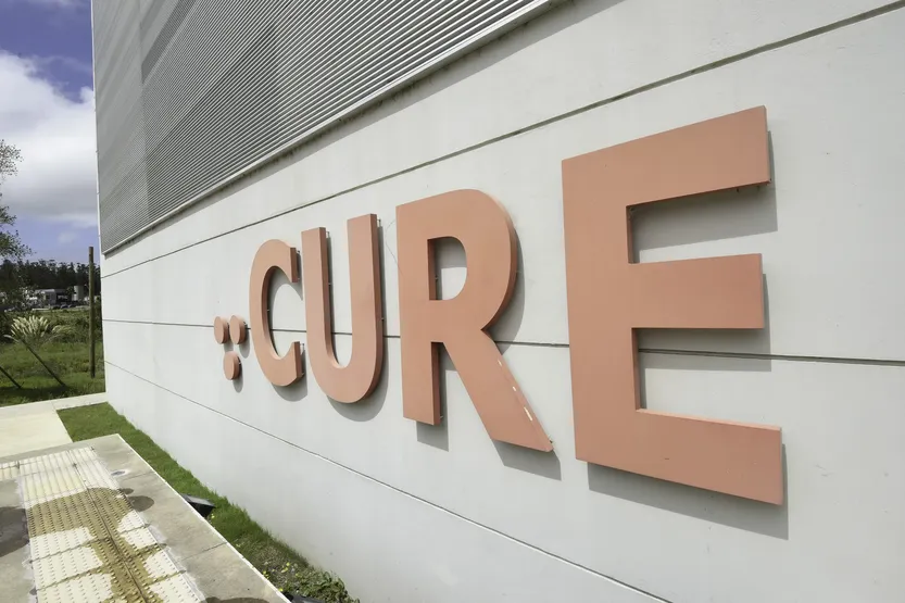 20260608 cure maldo