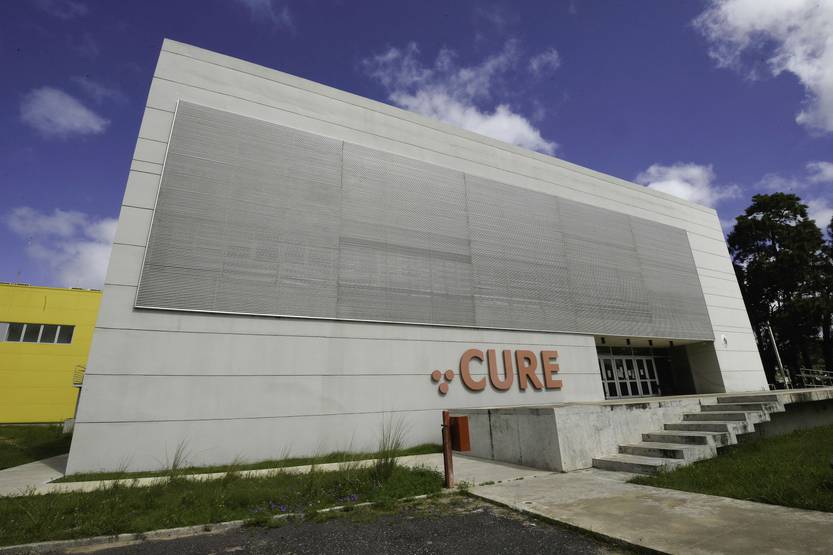20220506 CURE