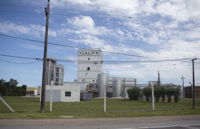 Planta de Claldy en Young, Río Negro. (Archivo, marzo de 2021). · Foto: Alessandro Maradei
