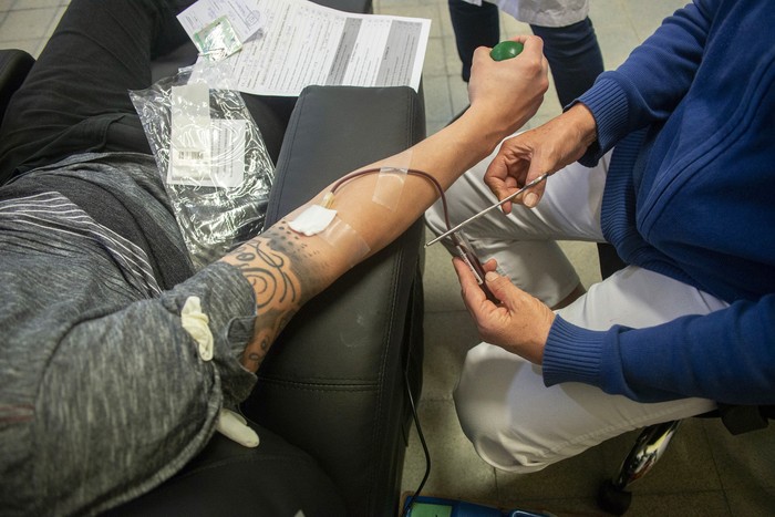 Donación de sangre en el Hospital de Clínicas. (archivo, mayo de 2021) · Foto: Alessandro Maradei