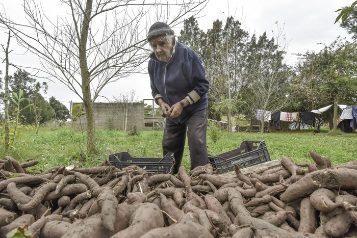 José Mujica (archivo, mayo de 2021). · Foto: Federico Gutiérrez