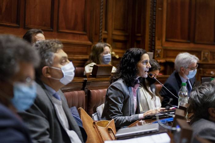 Azucena Arbeleche, el 12 de julio de 2021, en la Comisión de Presupuestos integrada con Hacienda, en la Cámara de Diputados. · Foto: Alessandro Maradei