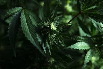 Archivo, mayo de 2021. · Foto: Ernesto Ryan