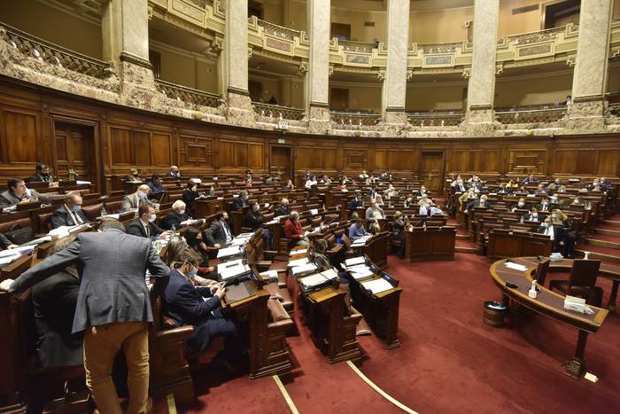 Tratamiento de la rendición de cuentas en cámara de diputados, el martes 17 de agosto. · Foto: Federico Gutiérrez