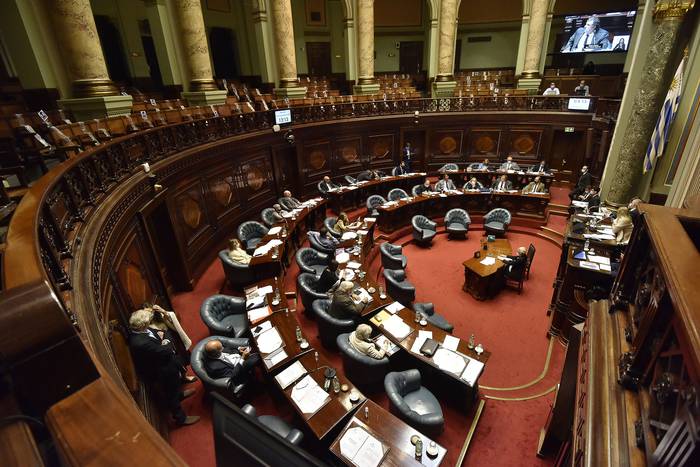 Cámara de Senadores. · Foto: Federico Gutiérrez