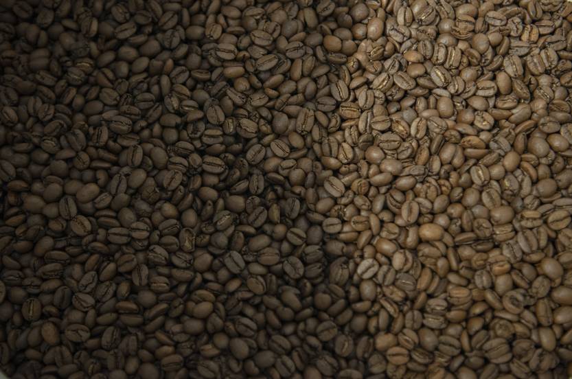 30 20230204 Soy Café