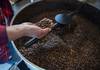 27 20220625 para breves Barista en casa