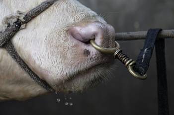 Archivo, setiembre de 2021. · Foto: Ernesto Ryan