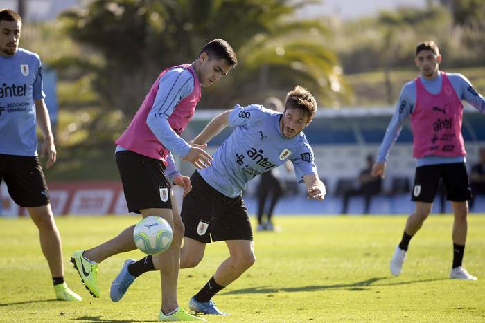 Entrenamiento de la selección uruguaya de fútbol en el Complejo Celeste (archivo, octubre de 2019). · Foto: Alessandro Maradei