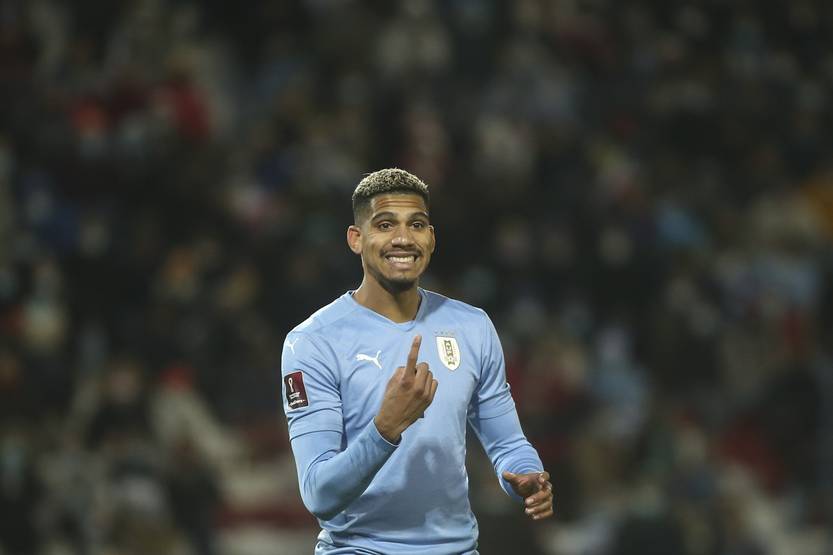 20260210 dep r araujo