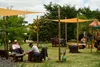 20260611 col conchillas