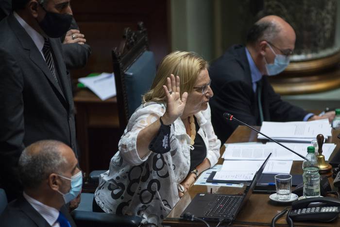 Graciela Bianchi, durante la votación de una ley, en la Cámara de Senadores, en el Palacio Legislativo (archivo, diciembre de 2021). · Foto: Alessandro Maradei