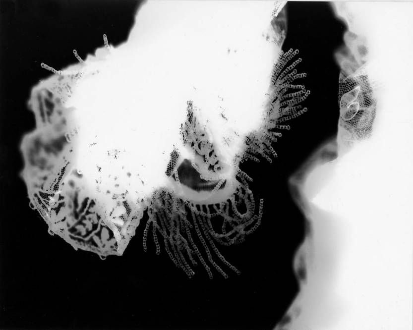 Rayograma003_1200w