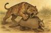 13-15 20250614 Tigre dientes de Sable 6