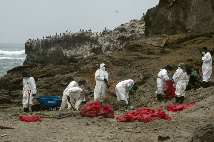 Limpieza de la orilla de la playa Cavero afectada por un derrame de petróleo que involucró al gigante energético español Repsol, en Pachacutec, el 14 de abril de 2022, en el norte de Lima. · Foto: Ernesto Benavides, AFP