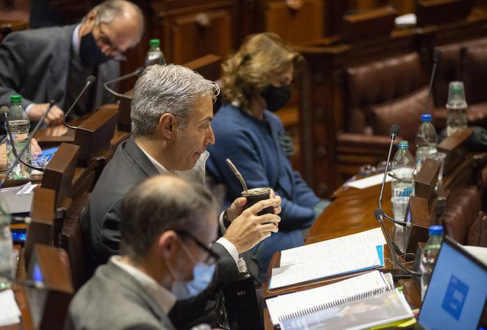 Robert Silva, en la Comisión de Presupuesto, el 2 de agosto de 2021, en la Cámara de Diputados. · Foto: Alessandro Maradei