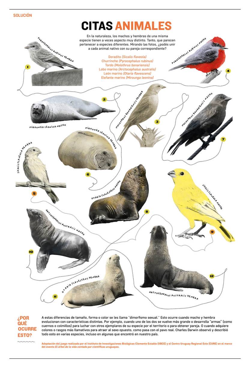 sacadudas citas animales