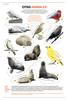 sacadudas citas animales