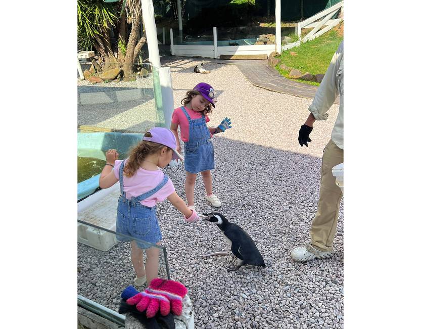 20250418 rescate fauna marina 5