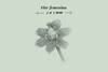 Lento 109 - Guardianes 02