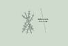 Lento 109 - Guardianes 08