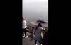 20230801 ballena