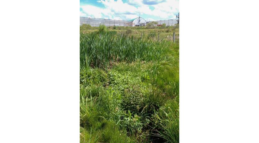 20220930 vivero upm
