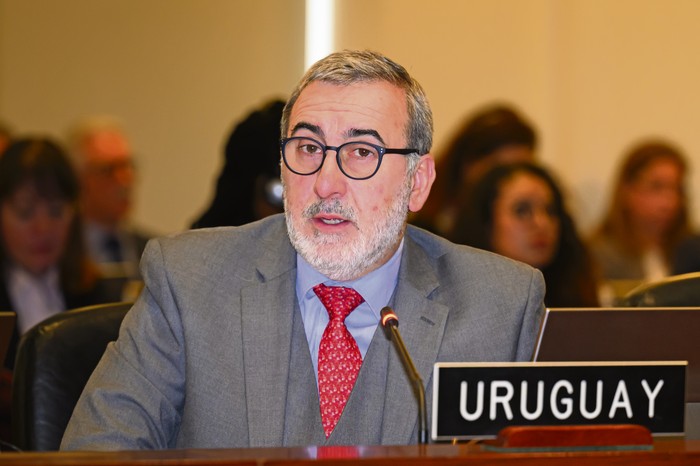 Edinson Lanza, ayer, durante su intervención en la OEA, en Washington. foto: OEA