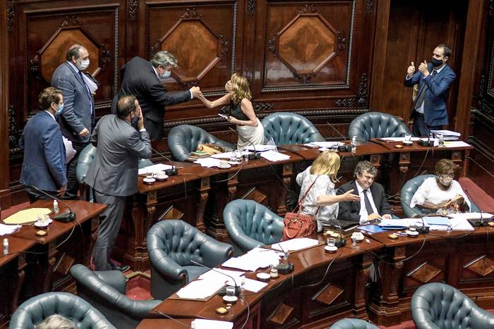 Durante la sesón para limitar el articulo 38 de la Constitución de la República, el 18 de diciembre, en la Cámara de Senadores del Palacio Legislativo. · Foto: Javier Calvelo, adhocFOTOS