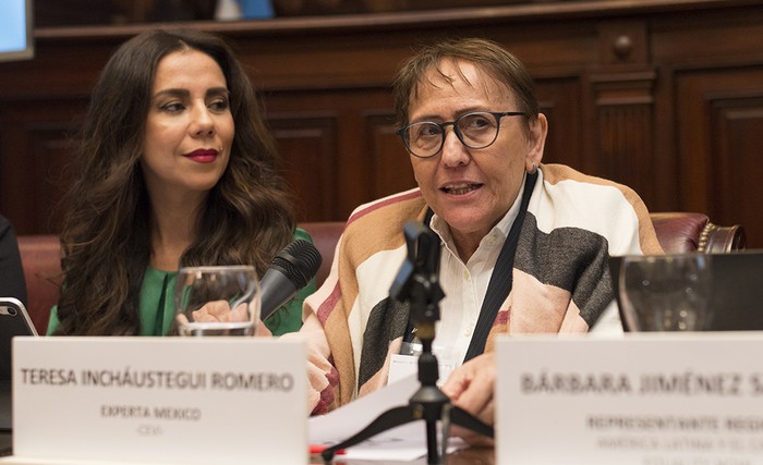 Teresa Incháustegui. Foto: mesecvi - OEA