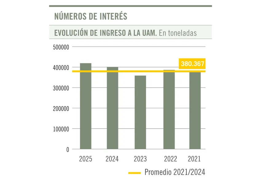 Evolución de ingreso a la UAM