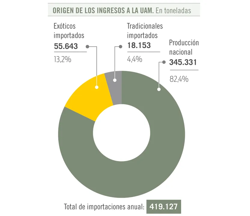 Origen de los ingresos a la UAM