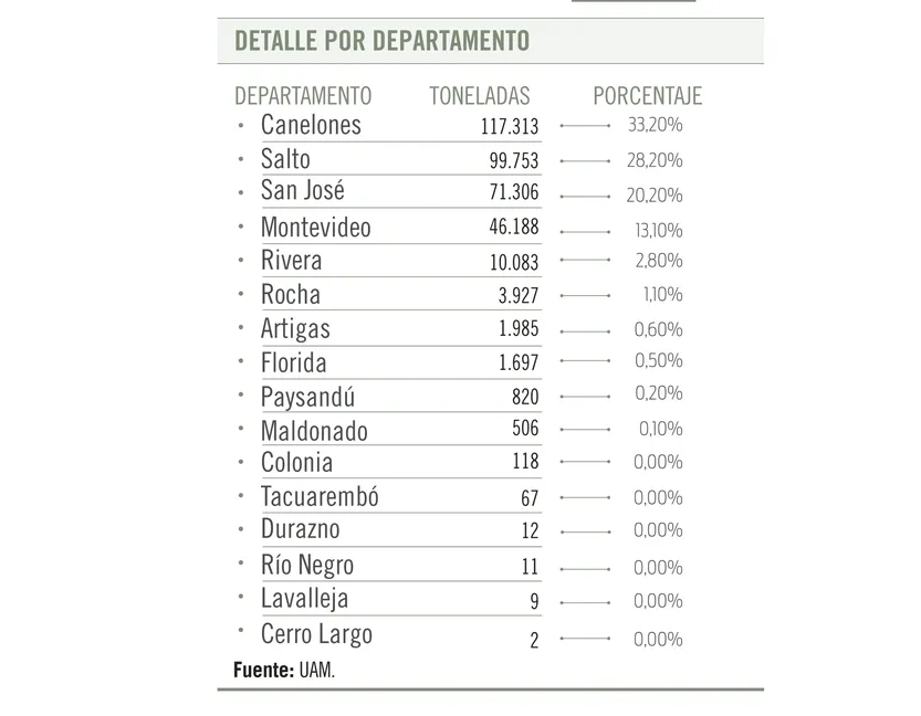 Detalle por departamento UAM