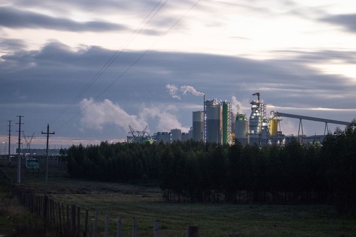 Planta de celulosa UPM2, en Pueblo Centenario, Durazno (archivo, junio de 2023). · Foto: Alessandro Maradei