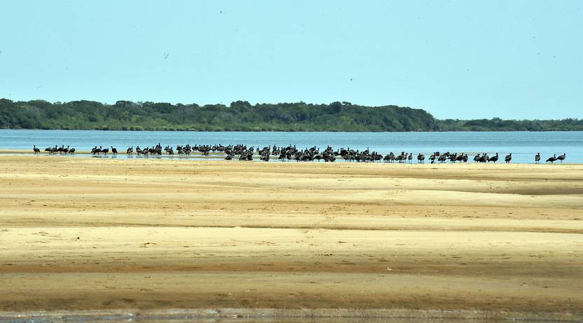 Una de las islas del Río Uruguay
