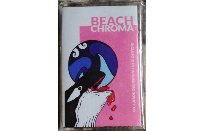 Foto principal del artículo 'Paraíso imaginado: el tacuaremboense Federico Cáceres reedita su disco Beach Chroma en casete'