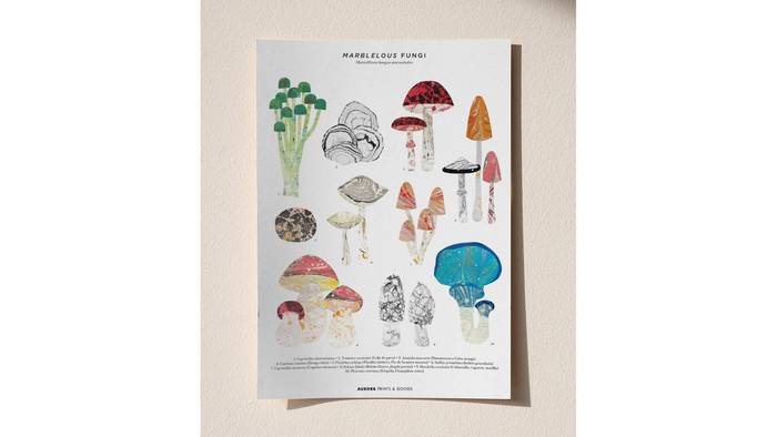 Marblelous fungi. Foto de @aurora_prints