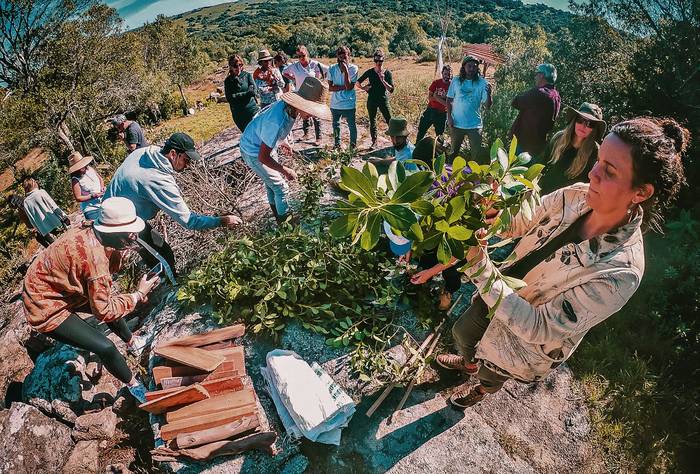 Foto principal del artículo 'Iporá es un proyecto que excede su vivero, ubicado en Aiguá, y ofrece capacitaciones, senderismo e inmersión en el proceso de la yerba mate'