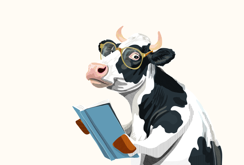 Vaca estudiosa industria