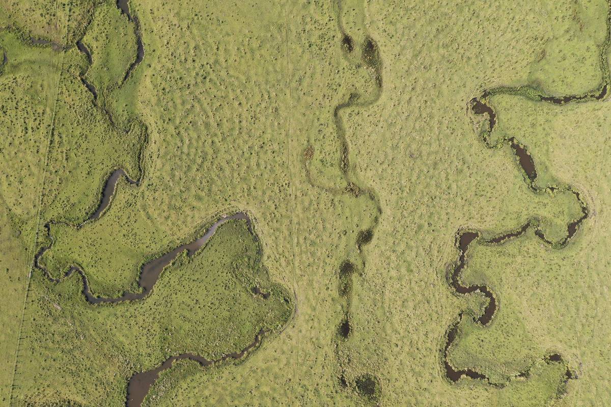 URUGUAY, pérdida de pastizal