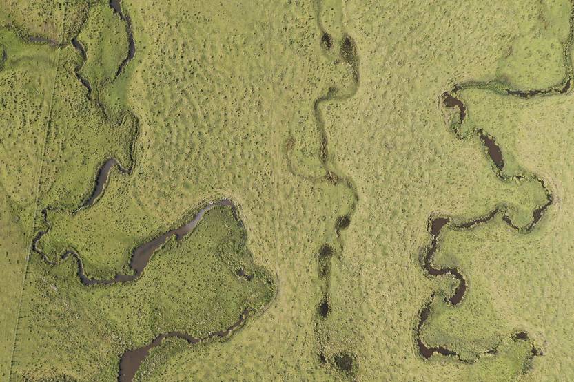 20251025 Ciencia pastizales 5